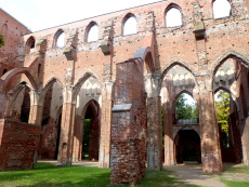 Развалины Домского (Петра и Павла) собора в Тарту